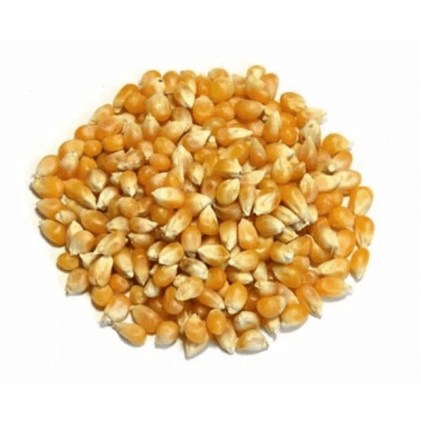 Maíz Palomero 1 k